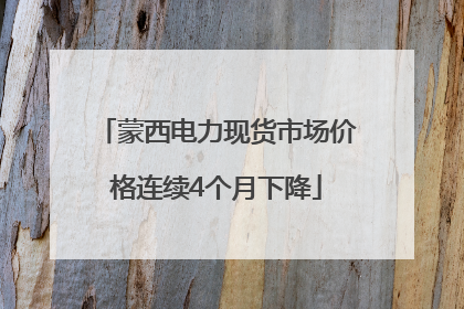 蒙西电力现货市场价格连续4个月下降