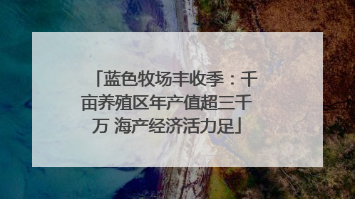 蓝色牧场丰收季：千亩养殖区年产值超三千万 海产经济活力足