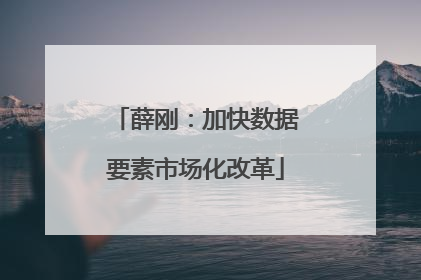 薛刚：加快数据要素市场化改革