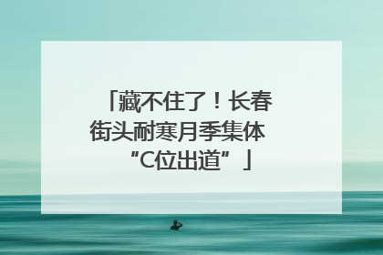 藏不住了！长春街头耐寒月季集体“C位出道”