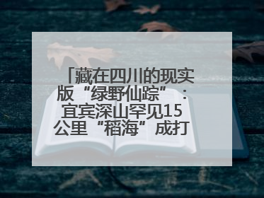 藏在四川的现实版“绿野仙踪”：宜宾深山罕见15公里“稻海”成打卡新地标