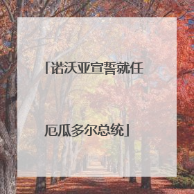 诺沃亚宣誓就任厄瓜多尔总统