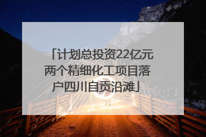 计划总投资22亿元 两个精细化工项目落户四川自贡沿滩