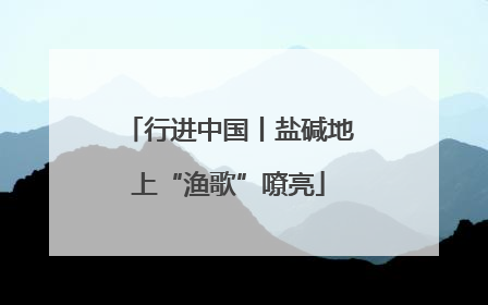行进中国丨盐碱地上“渔歌”嘹亮