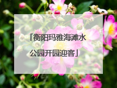 衡阳玛雅海滩水公园开园迎客