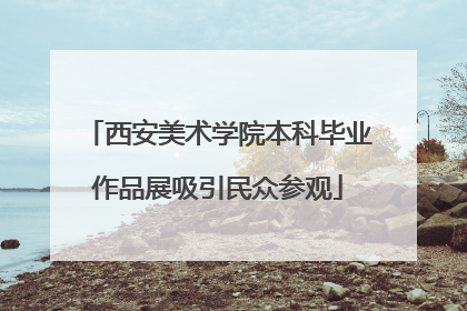 西安美术学院本科毕业作品展吸引民众参观
