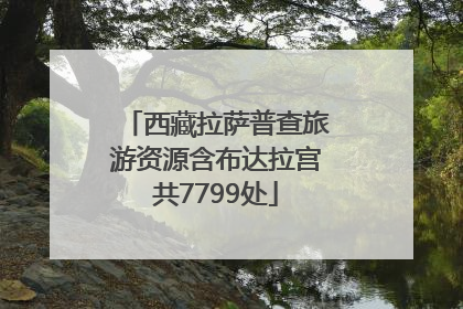 西藏拉萨普查旅游资源含布达拉宫共7799处