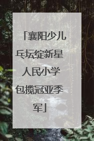 襄阳少儿乓坛绽新星 人民小学包揽冠亚季军