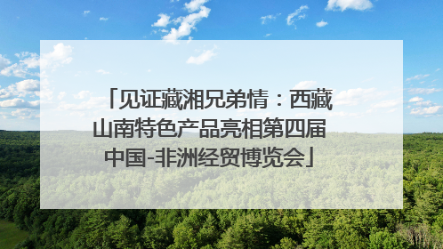 见证藏湘兄弟情：西藏山南特色产品亮相第四届中国-非洲经贸博览会