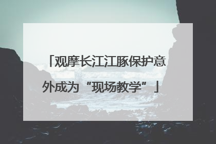 观摩长江江豚保护意外成为“现场教学”
