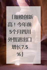 规模创新高！今年前5个月四川外贸进出口增长7.5%