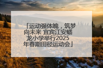 运动强体魄，筑梦向未来 宜宾江安蟠龙小学举行2025年春期田径运动会