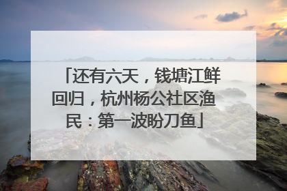 还有六天，钱塘江鲜回归，杭州杨公社区渔民：第一波盼刀鱼