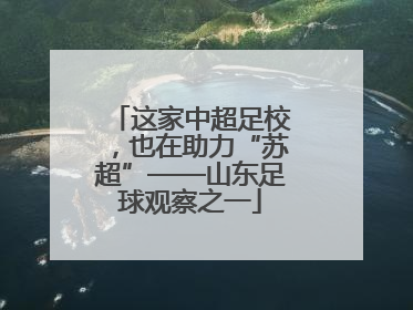 这家中超足校，也在助力“苏超”——山东足球观察之一