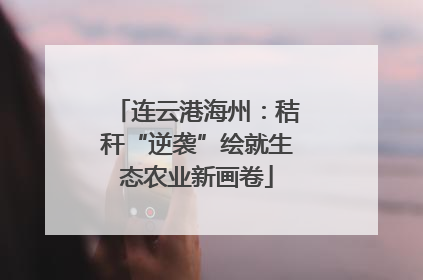 连云港海州：秸秆“逆袭”绘就生态农业新画卷