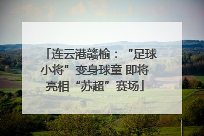 连云港赣榆：“足球小将”变身球童 即将亮相“苏超”赛场
