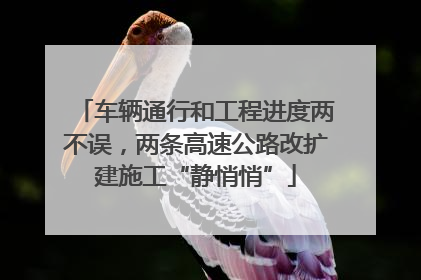 车辆通行和工程进度两不误，两条高速公路改扩建施工“静悄悄”