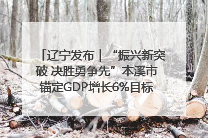 辽宁发布｜“振兴新突破 决胜勇争先”本溪市锚定GDP增长6%目标推进十项重点工作