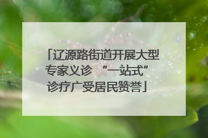 辽源路街道开展大型专家义诊 “一站式”诊疗广受居民赞誉