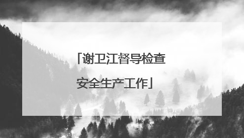 谢卫江督导检查安全生产工作
