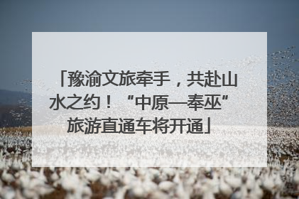 豫渝文旅牵手，共赴山水之约！“中原—奉巫”旅游直通车将开通