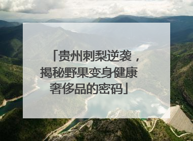 贵州刺梨逆袭，揭秘野果变身健康奢侈品的密码