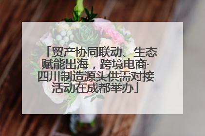 贸产协同联动、生态赋能出海，跨境电商·四川制造源头供需对接活动在成都举办
