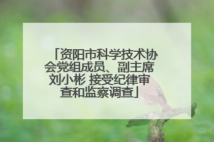 资阳市科学技术协会党组成员、副主席刘小彬 接受纪律审查和监察调查