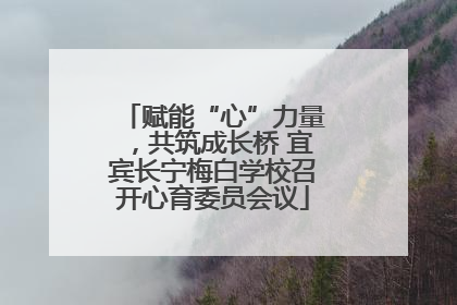赋能“心”力量，共筑成长桥 宜宾长宁梅白学校召开心育委员会议