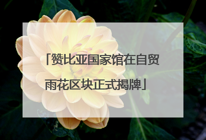 赞比亚国家馆在自贸雨花区块正式揭牌
