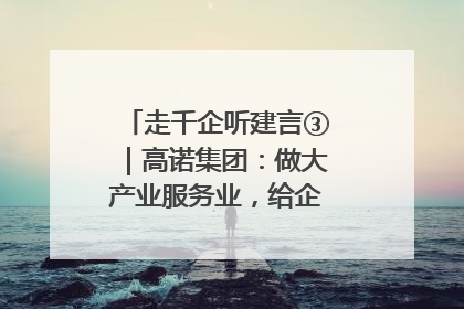 走千企听建言③｜高诺集团：做大产业服务业，给企业更多创新空间