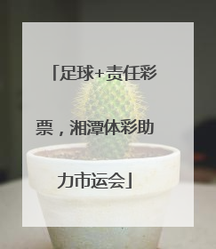 足球+责任彩票，湘潭体彩助力市运会