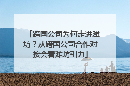 跨国公司为何走进潍坊？从跨国公司合作对接会看潍坊引力
