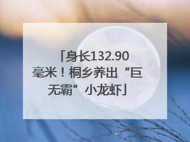 身长132.90毫米！桐乡养出“巨无霸”小龙虾