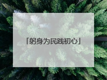 躬身为民践初心