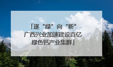 逐“绿”向“新” 广西兴业加速建设百亿绿色钙产业集群