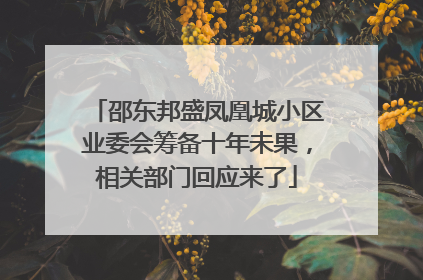 邵东邦盛凤凰城小区业委会筹备十年未果，相关部门回应来了