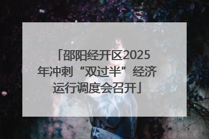 邵阳经开区2025年冲刺“双过半”经济运行调度会召开