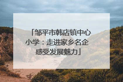 邹平市韩店镇中心小学：走进家乡名企 感受发展魅力