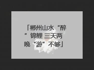 郴州山水“醉”锦鲤 三天两晚“游”不够