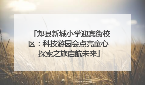 郏县新城小学迎宾街校区：科技游园会点亮童心 探索之旅启航未来