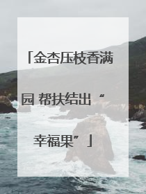 金杏压枝香满园 帮扶结出“幸福果”