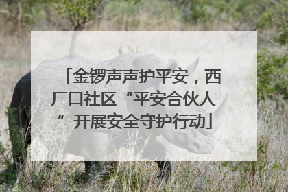 金锣声声护平安，西厂口社区“平安合伙人”开展安全守护行动