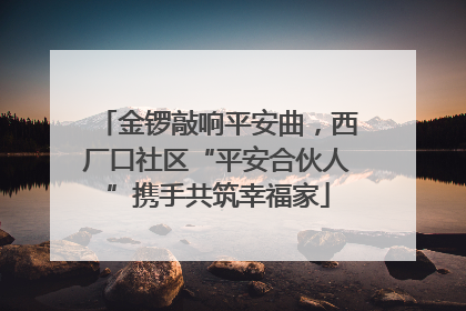 金锣敲响平安曲，西厂口社区“平安合伙人”携手共筑幸福家