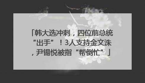 韩大选冲刺，四位前总统“出手”！3人支持金文洙，尹锡悦被指“帮倒忙”