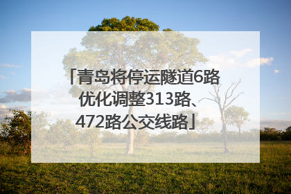 青岛将停运隧道6路 优化调整313路、472路公交线路