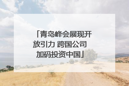 青岛峰会展现开放引力 跨国公司加码投资中国