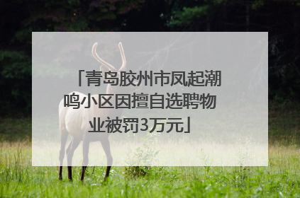 青岛胶州市凤起潮鸣小区因擅自选聘物业被罚3万元