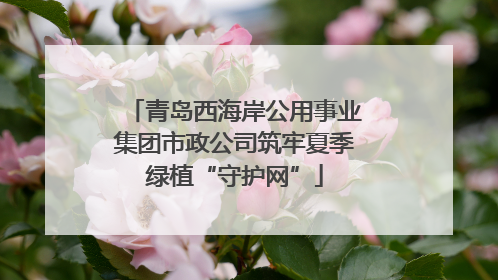 青岛西海岸公用事业集团市政公司筑牢夏季绿植“守护网”