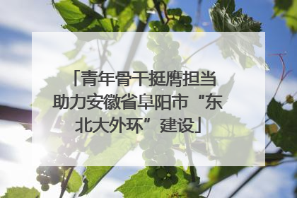 青年骨干挺膺担当 助力安徽省阜阳市“东北大外环”建设